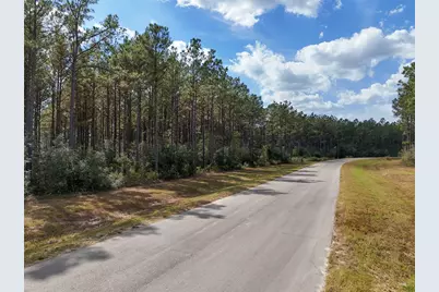 15531 Forest Grove Drive, Willis, TX 77378 - Photo 2