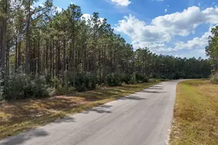 15531 Frst Grv Dr, Willis, TX 77378 - Photo 2