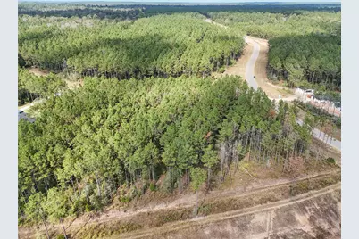 15531 Forest Grove Drive, Willis, TX 77378 - Photo 8