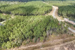 15531 Frst Grv Dr, Willis, TX 77378 - Photo 8