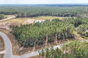 15531 Frst Grv Dr, Willis, TX 77378 - Photo 16