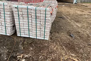 2782 Portugal Laurel Dr, Alvin, TX 77511 - Photo 12