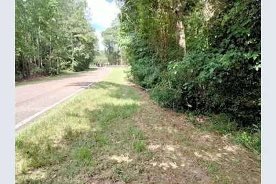 19300 Mount Pleasant Road, Montgomery, TX 77356 - Photo 2