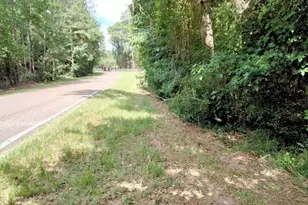 19300 Mount Pleasant Rd, Montgomery, TX 77356 - Photo 2