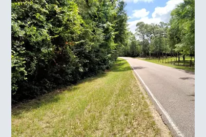 19300 Mount Pleasant Road, Montgomery, TX 77356 - Photo 4