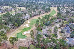 58 Bridgeberry Pl, The Woodlands, TX 77381 - Photo 32