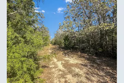 2845 Boehnke Road, Muldoon, TX 78949 - Photo 6