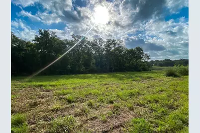 Tract 7 & 8 County Road 426, Marquez, TX 77865 - Photo 2