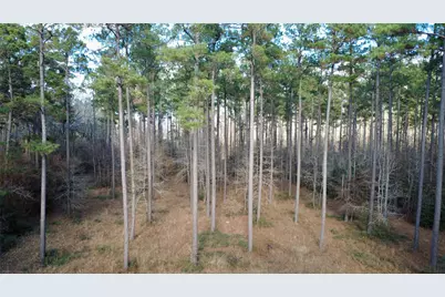 1497 County Road 1170, Kennard, TX 75847 - Photo 4