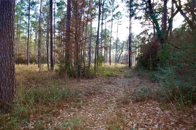 1497 County Road 1170, Kennard, TX 75847 - Photo 10