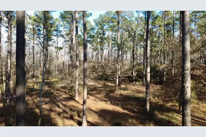 1497 County Road 1170, Kennard, TX 75847 - Photo 2