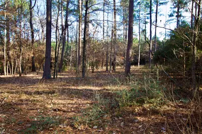 1497 County Road 1170, Kennard, TX 75847 - Photo 28