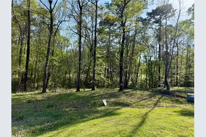 Tbd Leaning Oak Drive, Point Blank, TX 77364 - Photo 2