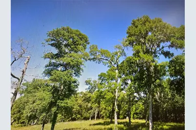 969 Cr 525, Sweeny, TX 77480 - Photo 4