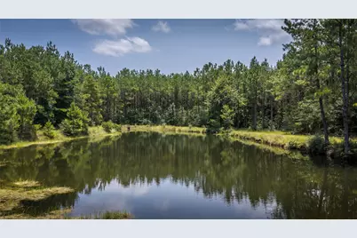 14912 N Highway 69 N, Village Mills, TX 77663 - Photo 28