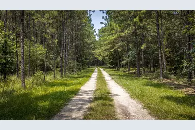 14912 N Highway 69 N, Village Mills, TX 77663 - Photo 2