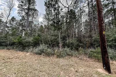 Lot 13 Chisholm Trail, Huntsville, TX 77340 - Photo 6