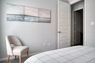 30142 Gold Finch Pl, Fulshear, TX 77441 - Photo 24