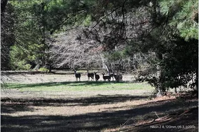 503 S Green Valley, Woodville, TX 75979 - Photo 2