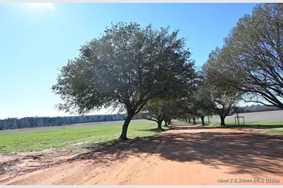 503 S Green Valley, Woodville, TX 75979 - Photo 4