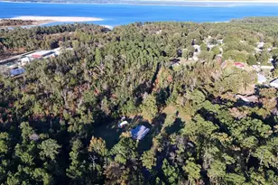 1493 Mollywood Rd, Zavalla, TX 75980 - Photo 20