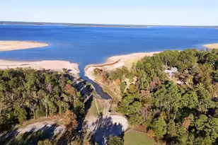 1493 Mollywood Rd, Zavalla, TX 75980 - Photo 16