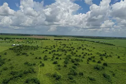 Tract 1 County Road 8, Guy, TX 77444 - Photo 2