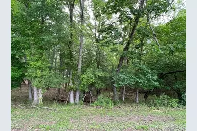 161 N Pine Harbour Drive, Coldspring, TX 77331 - Photo 1