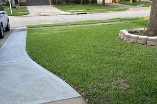 5122 Forest Sage Ln, Katy, TX 77494 - Photo 12