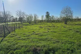 0 County Road 63, Rosharon, UT 77583 - Photo 2