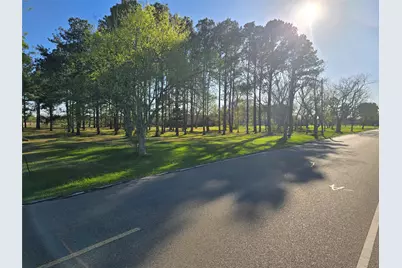 0 County Road 63, Rosharon, UT 77583 - Photo 6