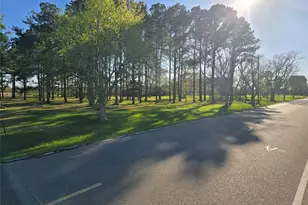 0 County Road 63, Rosharon, UT 77583 - Photo 6