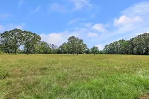 249 CR 350, Broaddus, TX 75929 - Photo 38