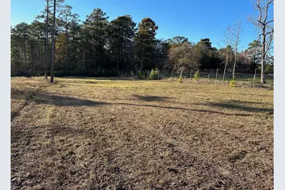 123 Anna Grace, Livingston, TX 77351 - Photo 10