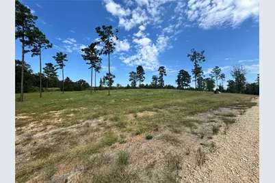 123 Anna Grace, Livingston, TX 77351 - Photo 1