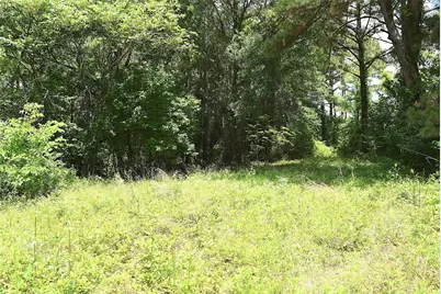 4414 Shady Lane, Huntsville, TX 77320 - Photo 4