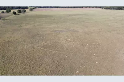 485 Private Road 6142, Grapeland, TX 75844 - Photo 24