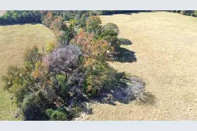 485 Private Road 6142, Grapeland, TX 75844 - Photo 6