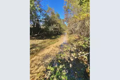 485 Private Road 6142, Grapeland, TX 75844 - Photo 2