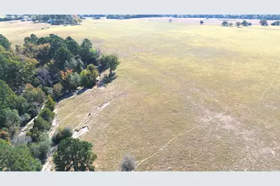 485 Private Road 6142, Grapeland, TX 75844 - Photo 8