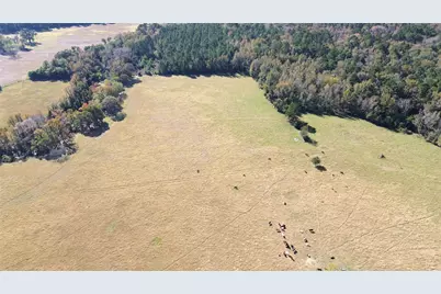 485 Private Road 6142, Grapeland, TX 75844 - Photo 10