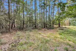 1505 Cheyenne Loop, Montgomery, TX 77316 - Photo 1