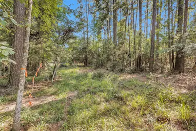 1505 Cheyenne Loop, Montgomery, TX 77316 - Photo 4