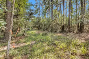 1505 Cheyenne Loop, Montgomery, TX 77316 - Photo 4