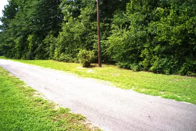 Tba Calvary Church Road Street, Woodville, TX 75979 - Photo 10