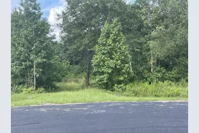 8504 Austin Avenue, Waller, TX 77484 - Photo 6