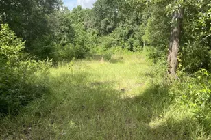 8504 Austin Ave, Waller, TX 77484 - Photo 4