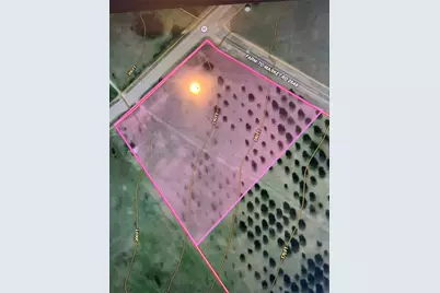 Tract #1 Hwy 21 E, Midway, TX 75852 - Photo 20