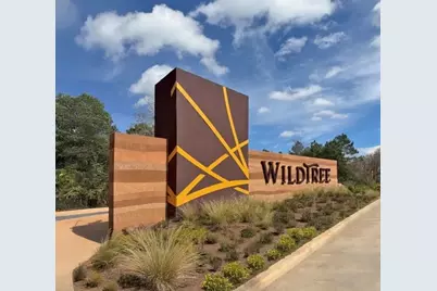 26726 Texas Lantana Lane, Montgomery, TX 77316 - Photo 8