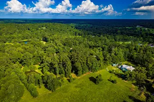 1699 Old Woodville Rd, Livingston, TX 77351 - Photo 48